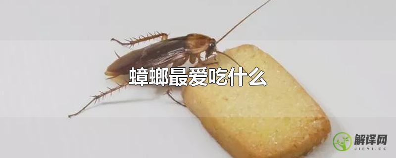 蟑螂最爱吃什么？