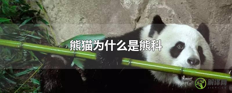 熊猫为什么是熊科？
