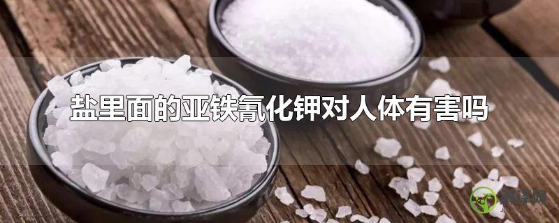 盐里面的亚铁氰化钾对人体有害吗？
