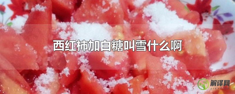 西红柿加白糖叫雪什么啊？