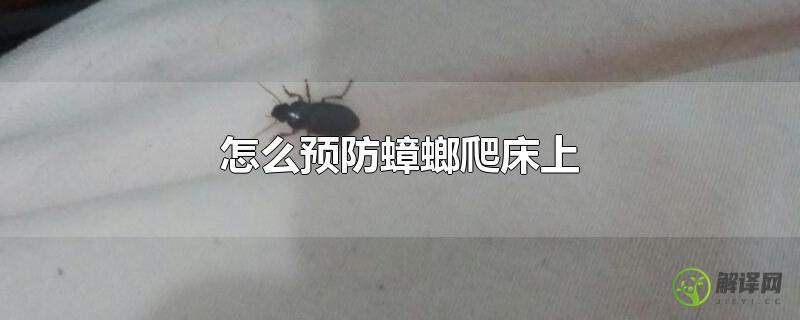 怎么预防蟑螂爬床上？