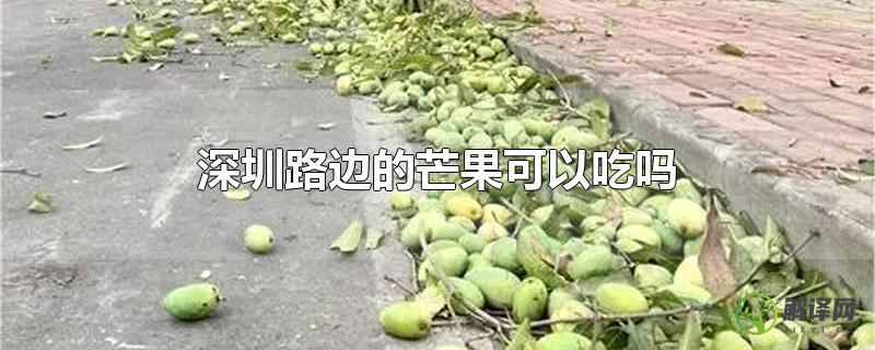 深圳路边的芒果可以吃吗？