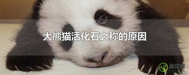 大熊猫活化石之称的原因？