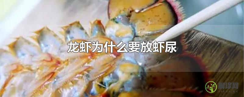 龙虾为什么要放虾尿？