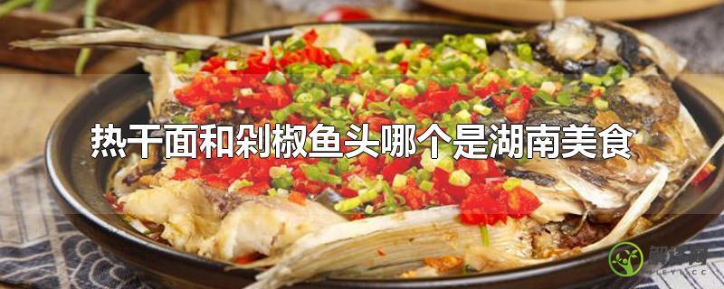 热干面和剁椒鱼头哪个是湖南美食？