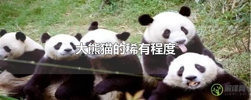 大熊猫的稀有程度？
