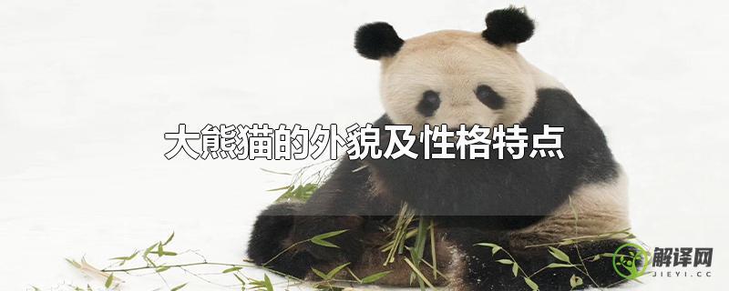 大熊猫的外貌及性格特点？