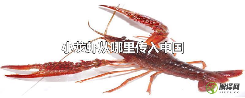 小龙虾从哪里传入中国？