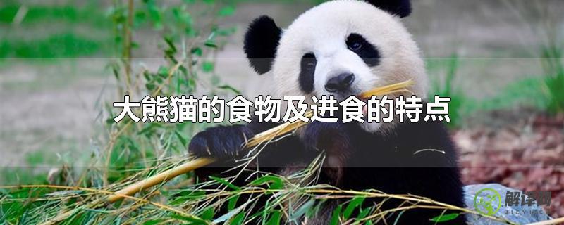 大熊猫的食物及进食的特点？