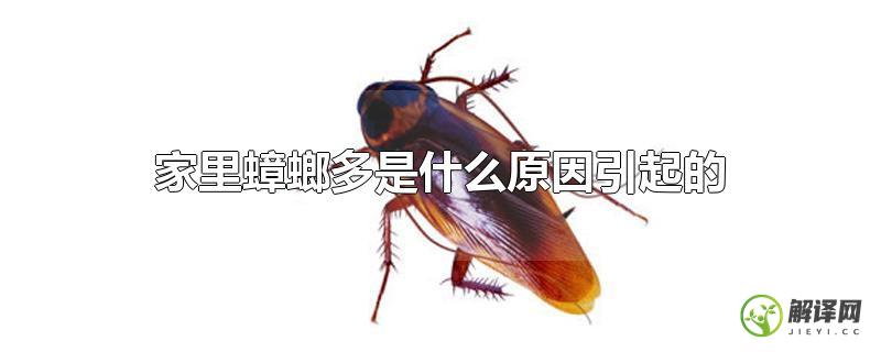 家里蟑螂多是什么原因引起的？