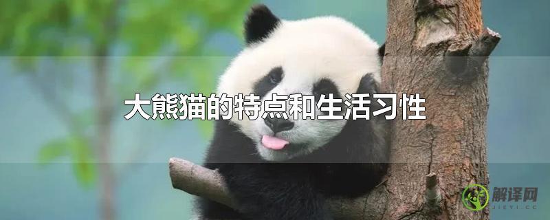 大熊猫的特点和生活习性？