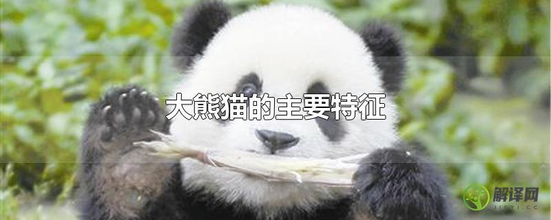 大熊猫的主要特征？