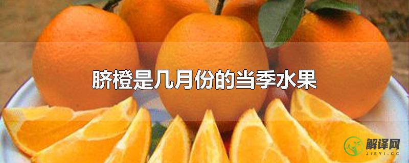 脐橙是几月份的当季水果？