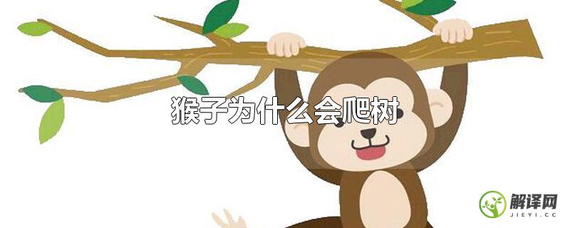 猴子为什么会爬树？