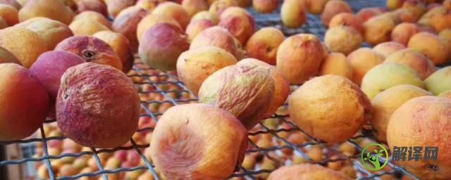 吊干杏吃多了的危害，吊干杏吃多了有什么危害？