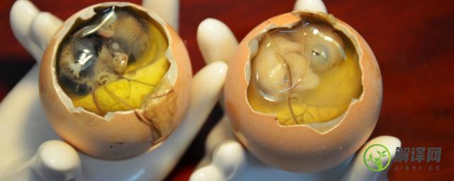 活珠子和毛鸡蛋的区别，活珠子和毛鸡蛋的区别是什么？