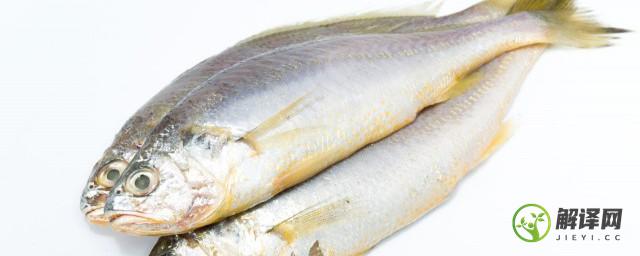 多宝鱼和石斑鱼哪个营养价值高，多宝鱼和石斑鱼营养价值高是哪种？