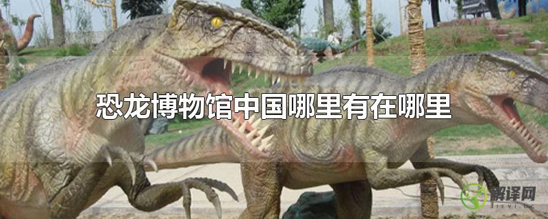 恐龙博物馆中国哪里有在哪里？