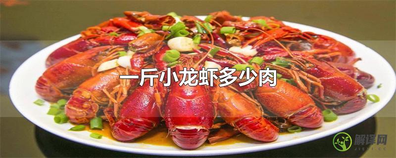 一斤小龙虾多少肉？