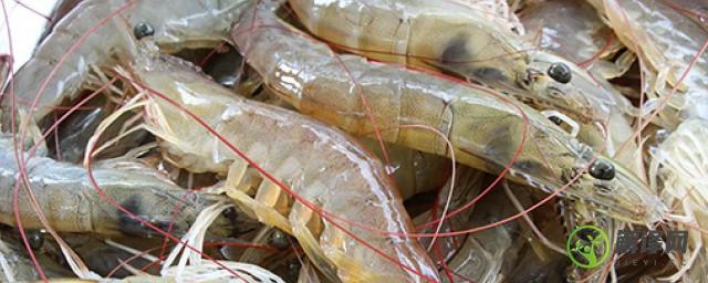 新鲜基围虾怎么保存冰箱，新鲜基围虾如何保存？