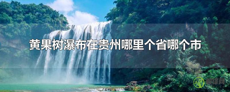 黄果树瀑布在贵州哪里个省哪个市？