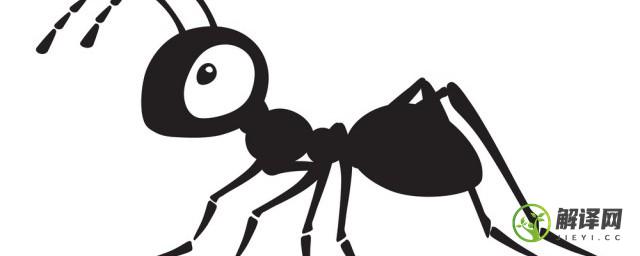 沙发上有蚂蚁怎么消灭，沙发上有蚂蚁如何消灭？