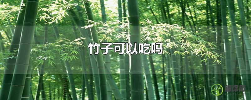 竹子可以吃吗？
