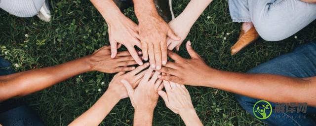 有关团结合作的词语，有关团结合作的词语有哪些？