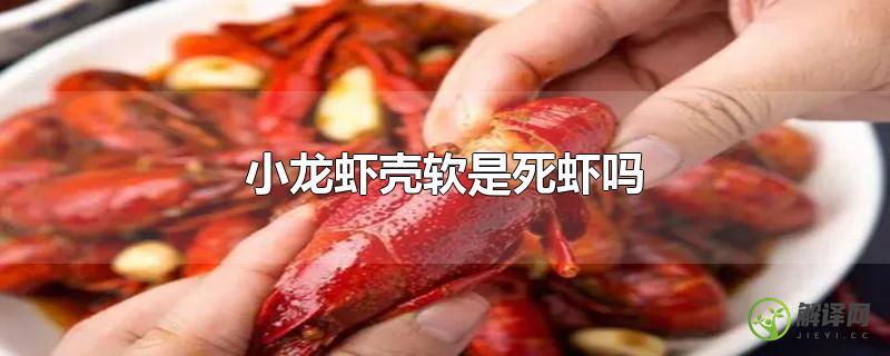 小龙虾壳软是死虾吗？