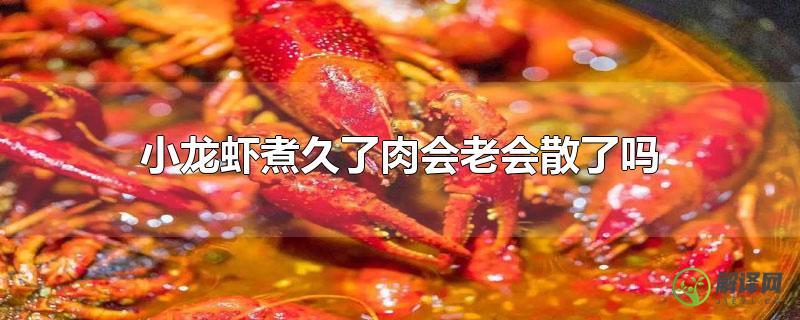 小龙虾煮久了肉会老会散了吗？