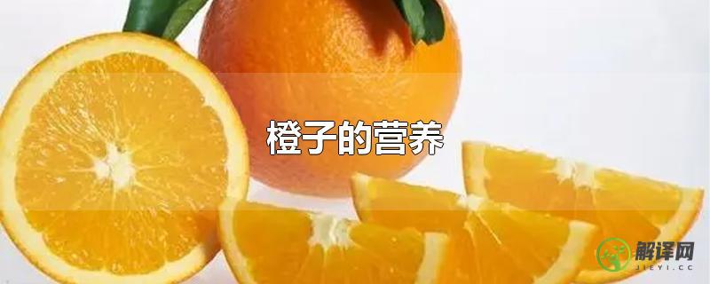 橙子的营养？