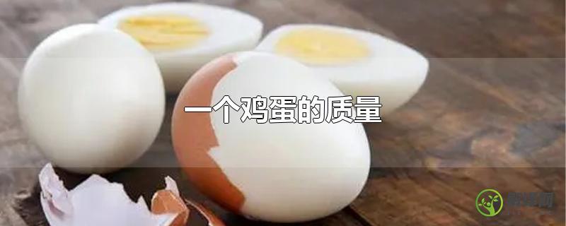 一个鸡蛋的质量？