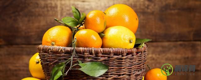水果档橙子储存方法，怎样储存橙子？