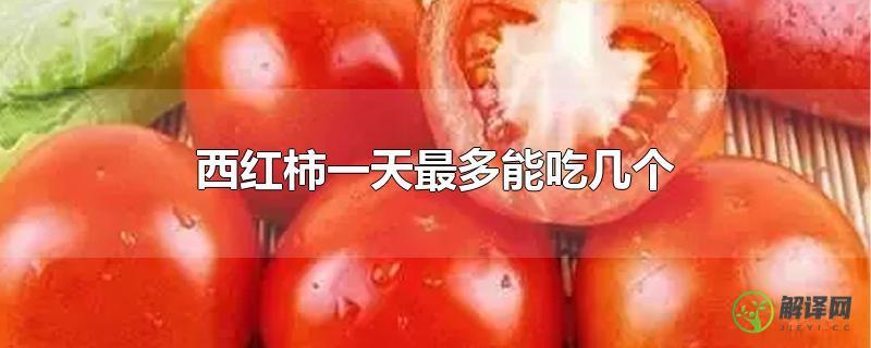 西红柿一天最多能吃几个？