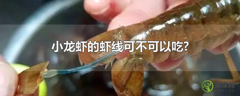 小龙虾的虾线可不可以吃?？