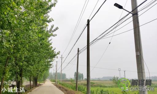 农村道路适合装太阳能路灯吗？