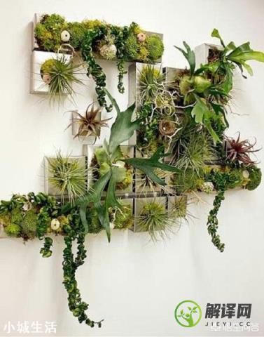 植物墙的收边装饰怎么做？