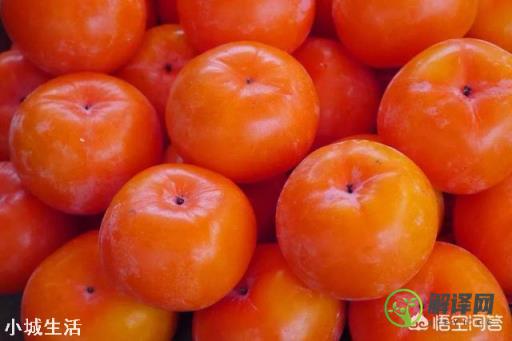 农村老话说的“一个柿子十副药”是什么意思？柿子不能吃吗？