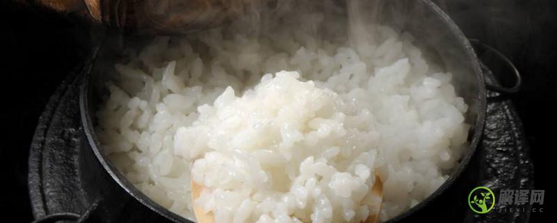 米饭能放冰箱吗