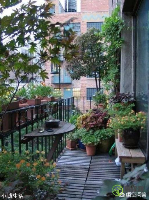 怎么把小户型的生活阳台变成花园？