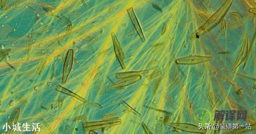 乳胶漆硅藻泥真的可以吸甲醇吗？