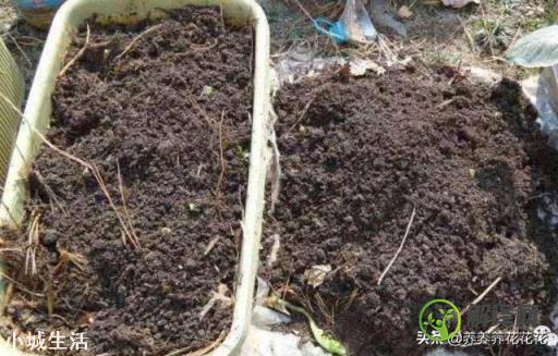 花卉盆栽换盆后用过的旧土，还可以重复使用吗？
