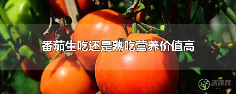 番茄生吃还是熟吃营养价值高？