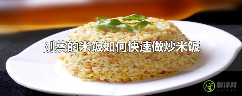 刚蒸的米饭如何快速做炒米饭？