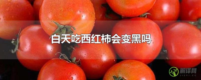 白天吃西红柿会变黑吗？