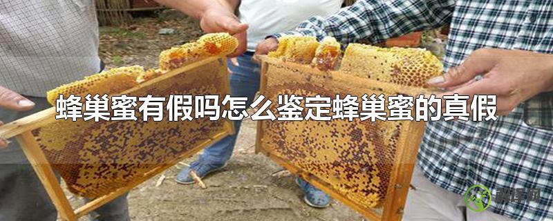 蜂巢蜜有假吗怎么鉴定蜂巢蜜的真假？