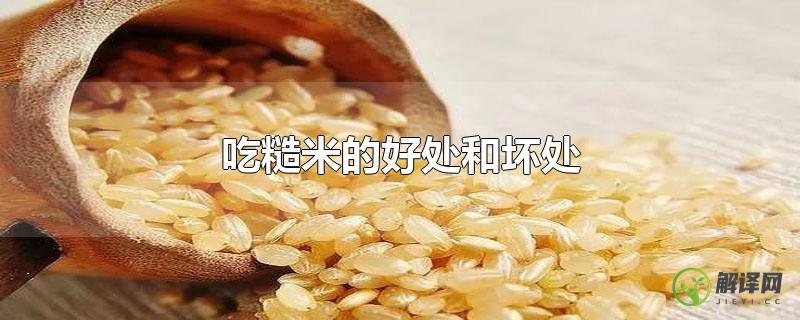 吃糙米的好处和坏处？