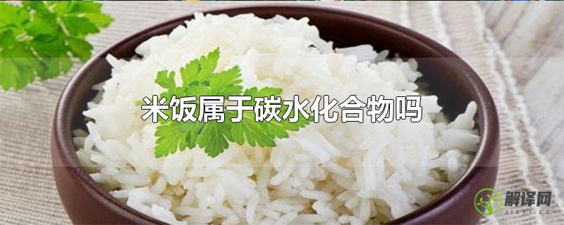 米饭属于碳水化合物吗？