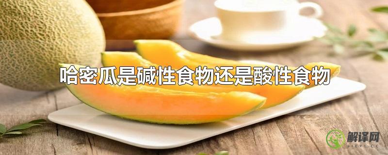 哈密瓜是碱性食物还是酸性食物？