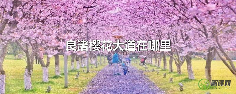 良渚樱花大道在哪里？